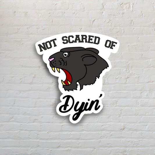 Lions Sticker